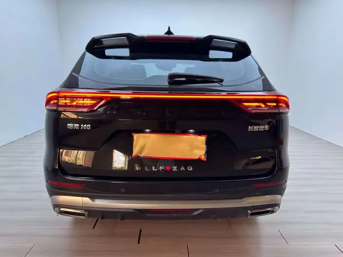 Haval H6 2023 Model Guo Trendy Edition 1.5T Automatic Champion Edition – фото 5
