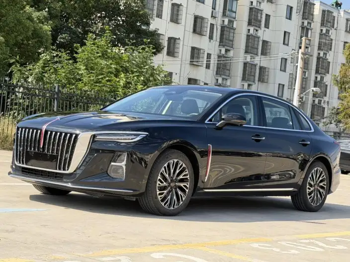 Hongqi H5 2024 Model 2.0T Automatic Flag Enjoy Edition – фото 1