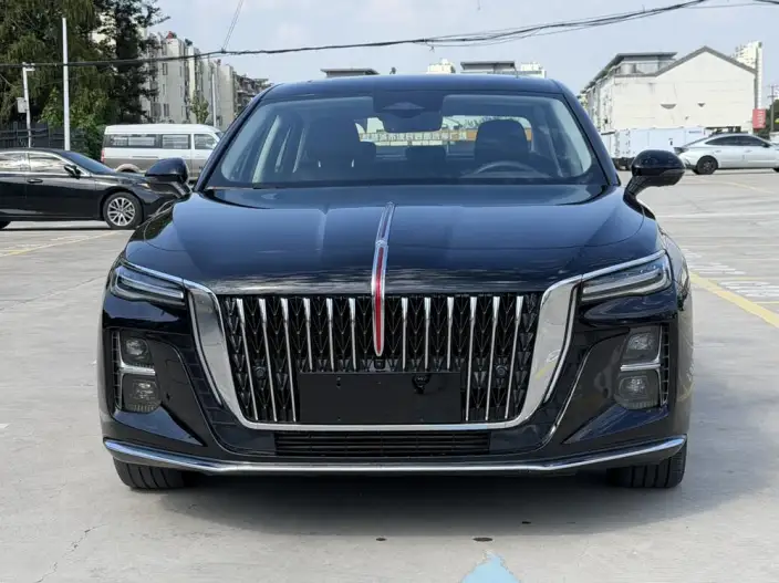 Hongqi H5 2024 Model 2.0T Automatic Flag Enjoy Edition – фото 2