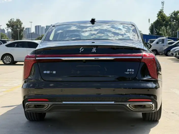 Hongqi H5 2024 Model 2.0T Automatic Flag Enjoy Edition – фото 5