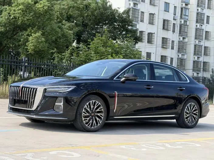 Hongqi H5 2024 Model 2.0T Automatic Flag Enjoy Edition – фото 8