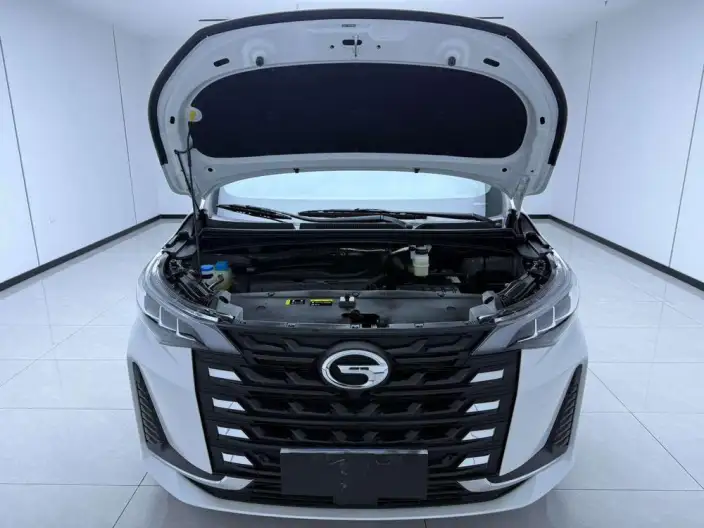 GAC Trumpchi M6 2021 Model Pro 270T Automatic Deluxe Edition – фото 9
