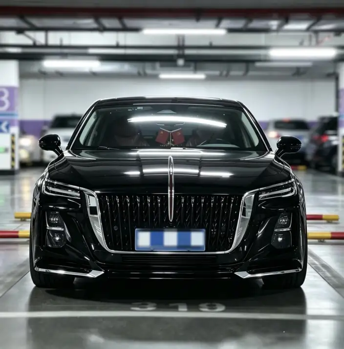 Hongqi H5 2023 Model 1.5T DCT Flag Rhythm Edition – фото 2
