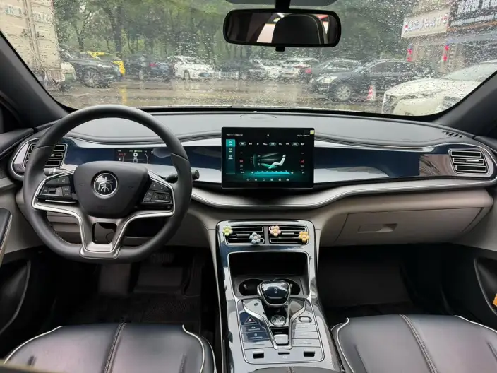 Qin Plus EV 2021 Model 500KM Luxury Model – фото 6