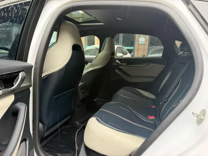 Qin Plus EV 2021 Model 500KM Luxury Model – фото 9