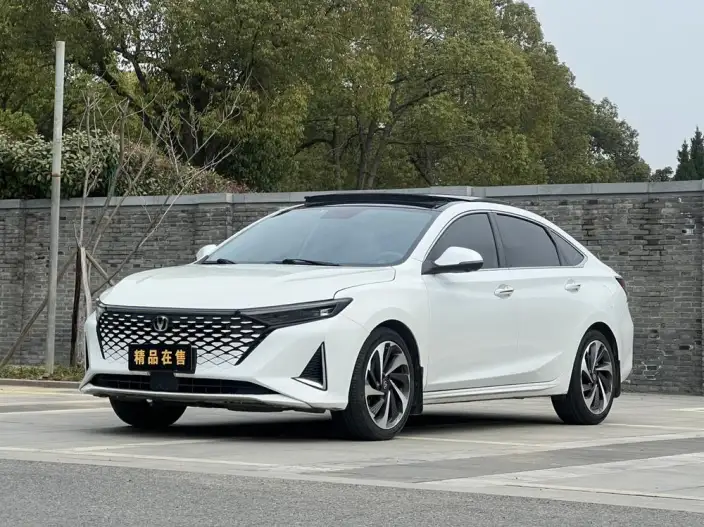 Ruicheng Plus 2023 Model 1.5T DCT Luxury Model