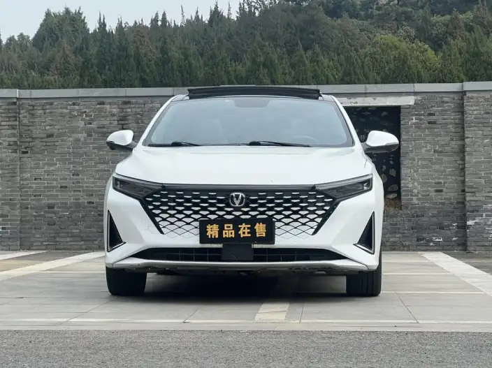 Ruicheng Plus 2023 Model 1.5T DCT Luxury Model
