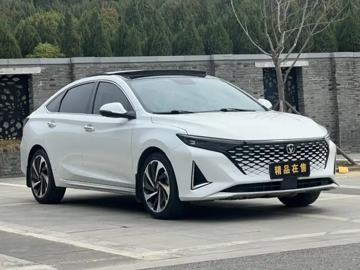 Ruicheng Plus 2023 Model 1.5T DCT Luxury Model