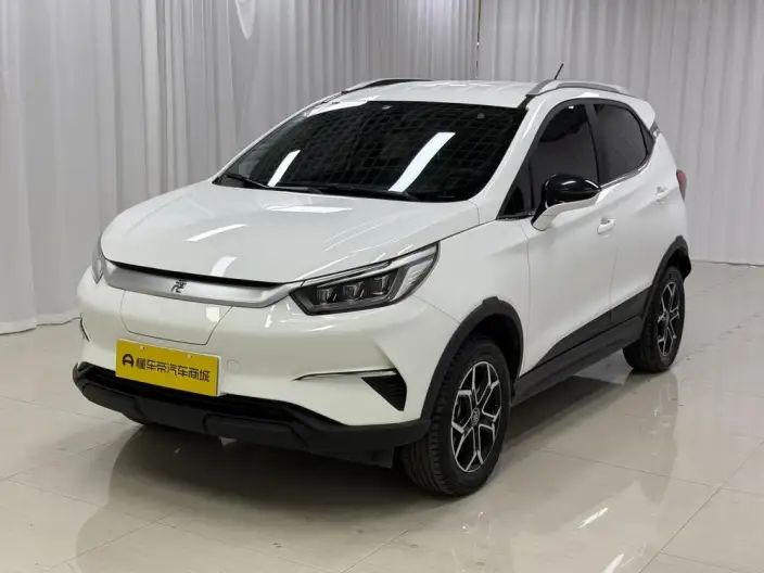 Yuan Pro 2021 Model 401KM Luxury Model