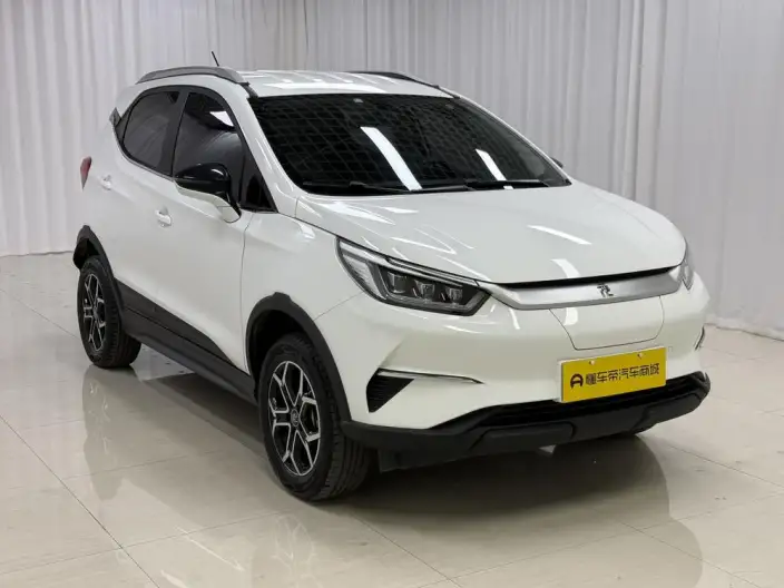 Yuan Pro 2021 Model 401KM Luxury Model
