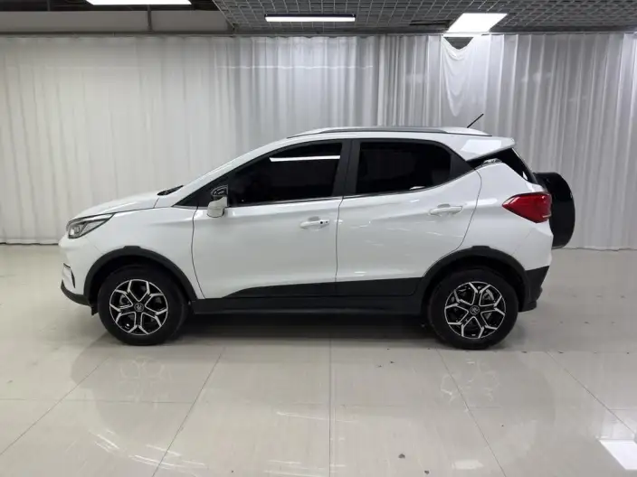 Yuan Pro 2021 Model 401KM Luxury Model