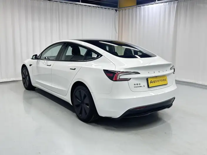 Model 3 2025 Model Facelift Rear-wheel drive version – фото 5