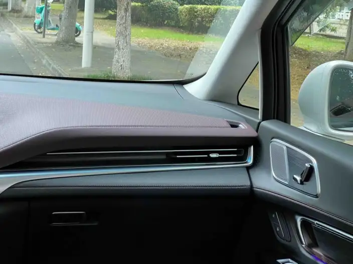 Century 2025 Model 2.0T VI seat Yunshi Edition – фото 9
