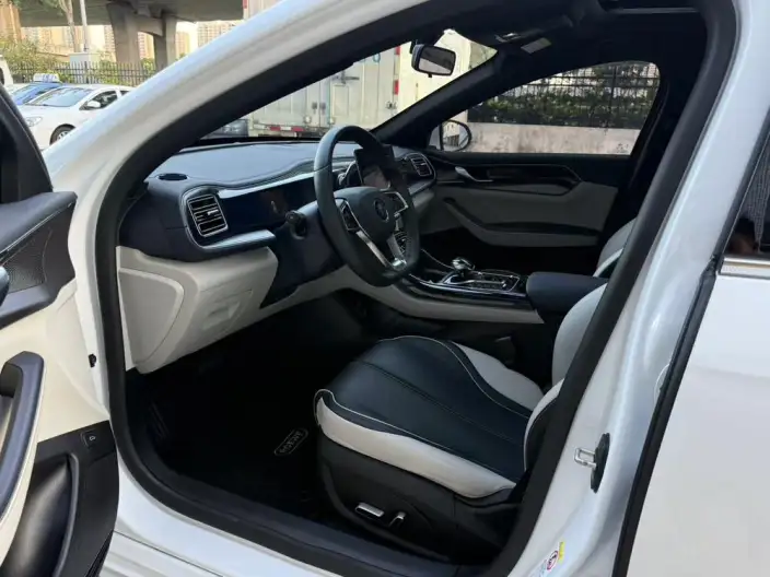 BYD Qin PLUS DM 2021 Model DM-i 55KM Noble Model – фото 8