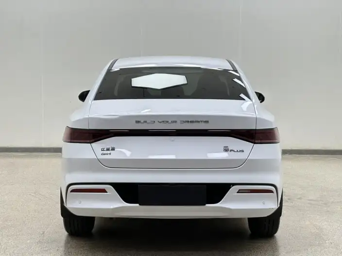 BYD Qin PLUS DM 2024 Model Honor Edition DM-i 55KM Leading Model – фото 6