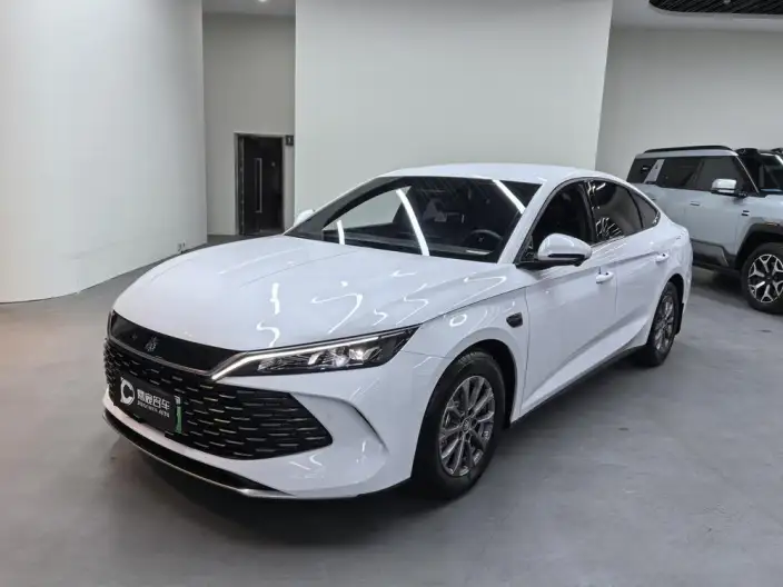 QinL DM 2025 Model Smart Driving Edition DM-i 80KM Leading Model