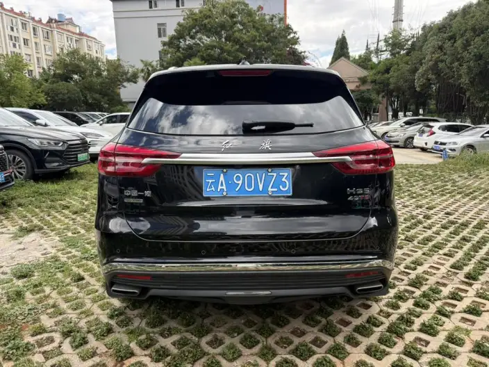 Hongqi HS5 2022 Model 2.0T Smart Flag Enjoy 4WD Edition