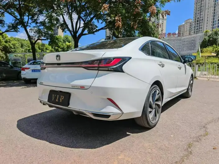 Ruicheng Plus 2023 Model 1.5T DCT Flagship Model – фото 6