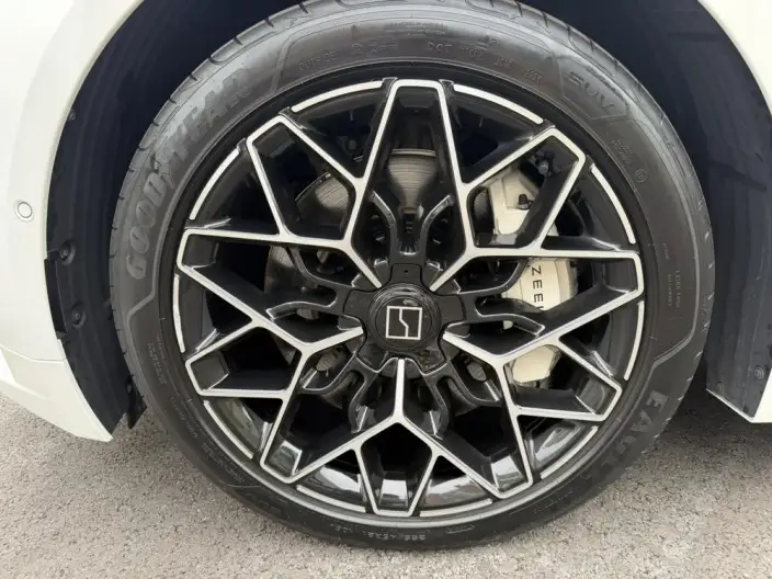 ZEEKR 001 2024 Model WE Edition 100kWh Rear Drive – фото 7