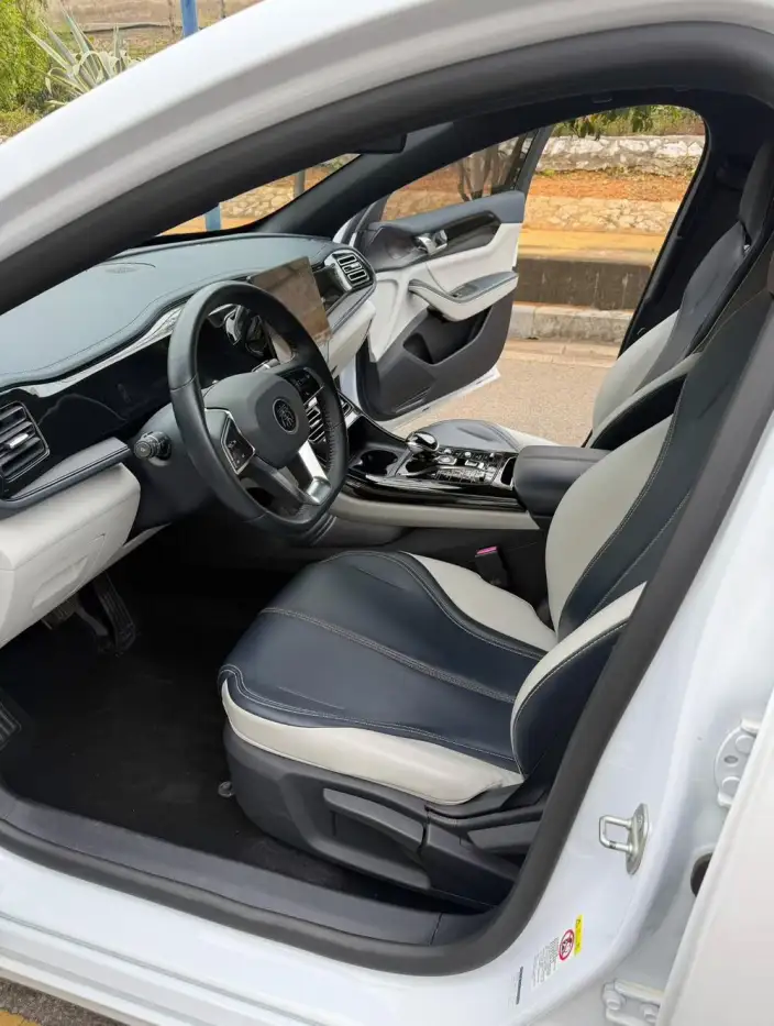 BYD Qin PLUS DM 2021 Model DM-i 55KM Noble Model – фото 8