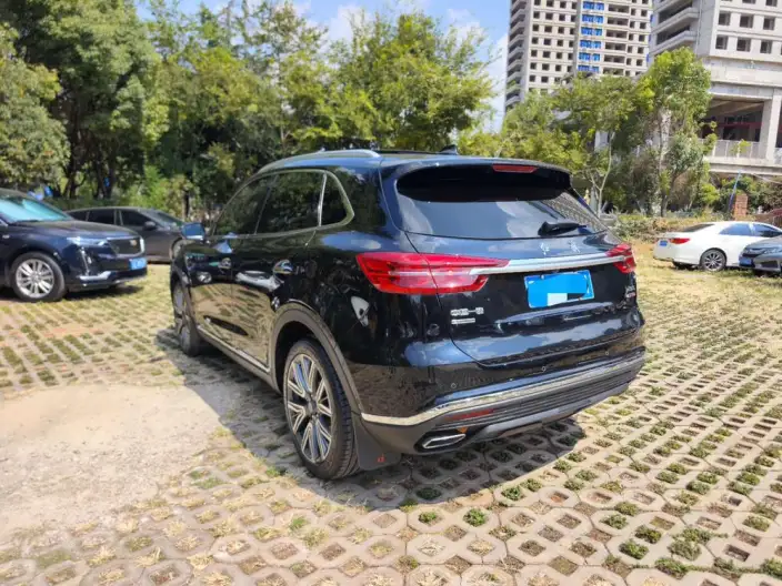 Hongqi HS5 2022 Model 2.0T Smart Flag Enjoy 4WD Edition