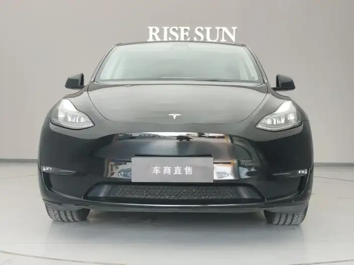 Model Y 2021 Model Facelift Long Battery Life Pro All-wheel drive version