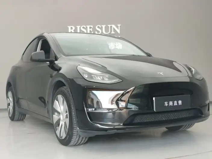 Model Y 2021 Model Facelift Long Battery Life Pro All-wheel drive version
