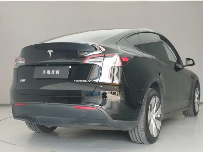Model Y 2021 Model Facelift Long Battery Life Pro All-wheel drive version – фото 5
