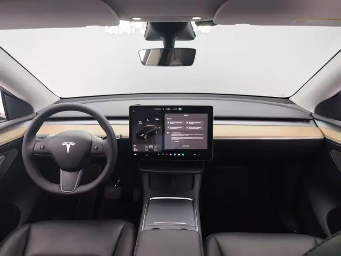 Model Y 2021 Model Facelift Long Battery Life Pro All-wheel drive version – фото 9