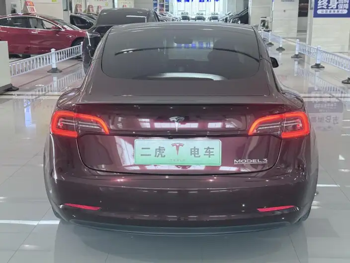 Model 3 2022 Model Performance High performance All-wheel drive version – фото 5