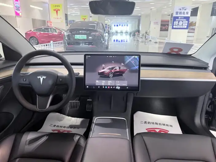 Model 3 2022 Model Performance High performance All-wheel drive version – фото 10