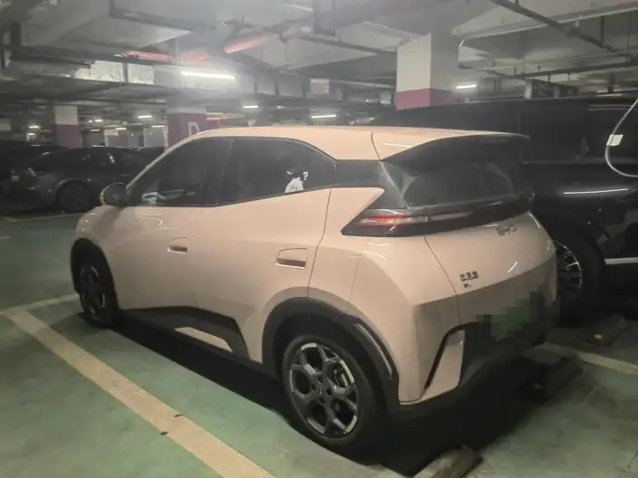 BYD Seagull 2025 Model 405KM Feixiang Edition – фото 4