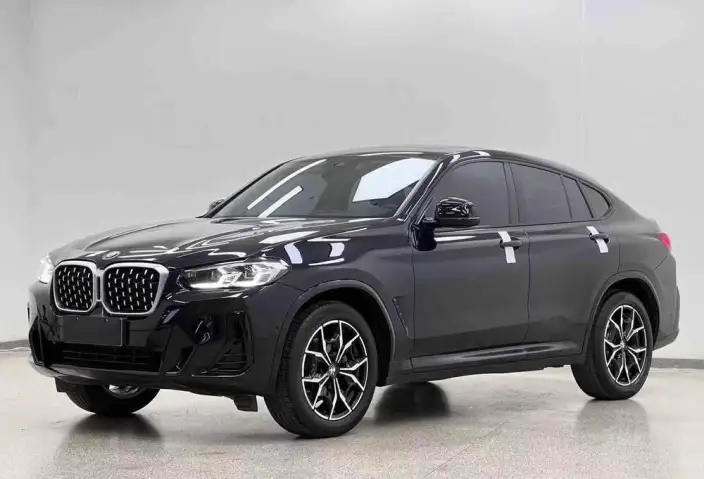 BMW X4 2022 Model xDrive 25i M Sports Set – фото 1