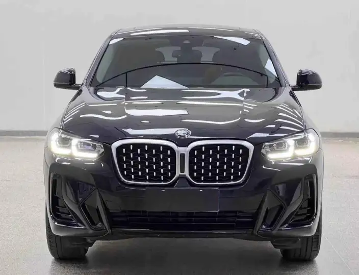 BMW X4 2022 Model xDrive 25i M Sports Set – фото 2