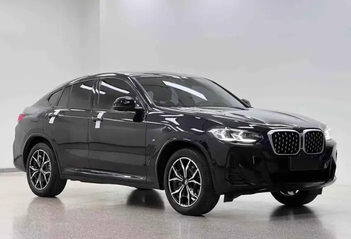 BMW X4 2022 Model xDrive 25i M Sports Set – фото 3