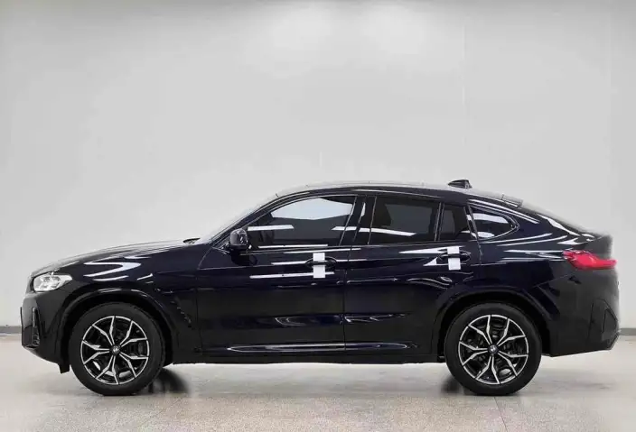 BMW X4 2022 Model xDrive 25i M Sports Set – фото 4