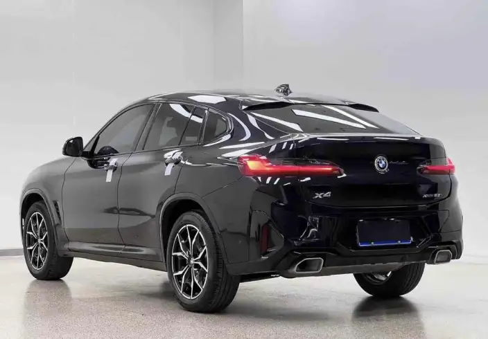 BMW X4 2022 Model xDrive 25i M Sports Set – фото 5