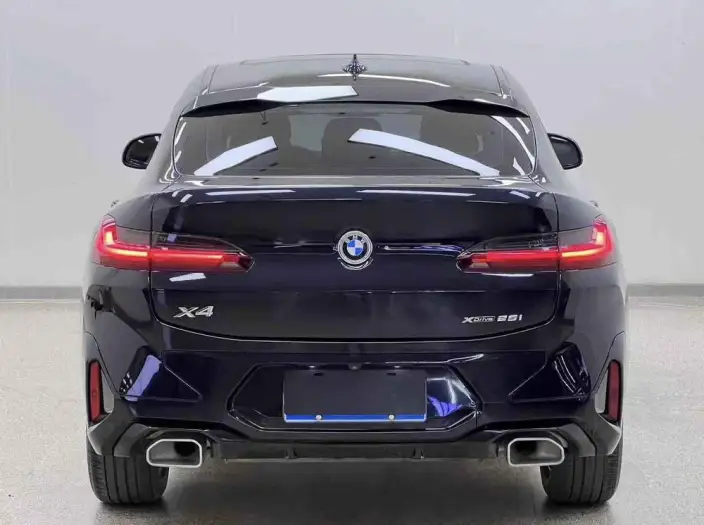 BMW X4 2022 Model xDrive 25i M Sports Set – фото 6