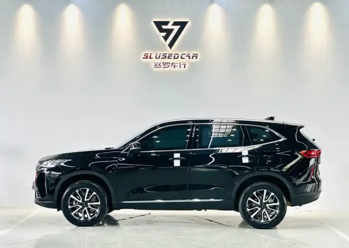 Haval H6 2022 Model Third generation 1.5T Automatic 2WD Pro – фото 4