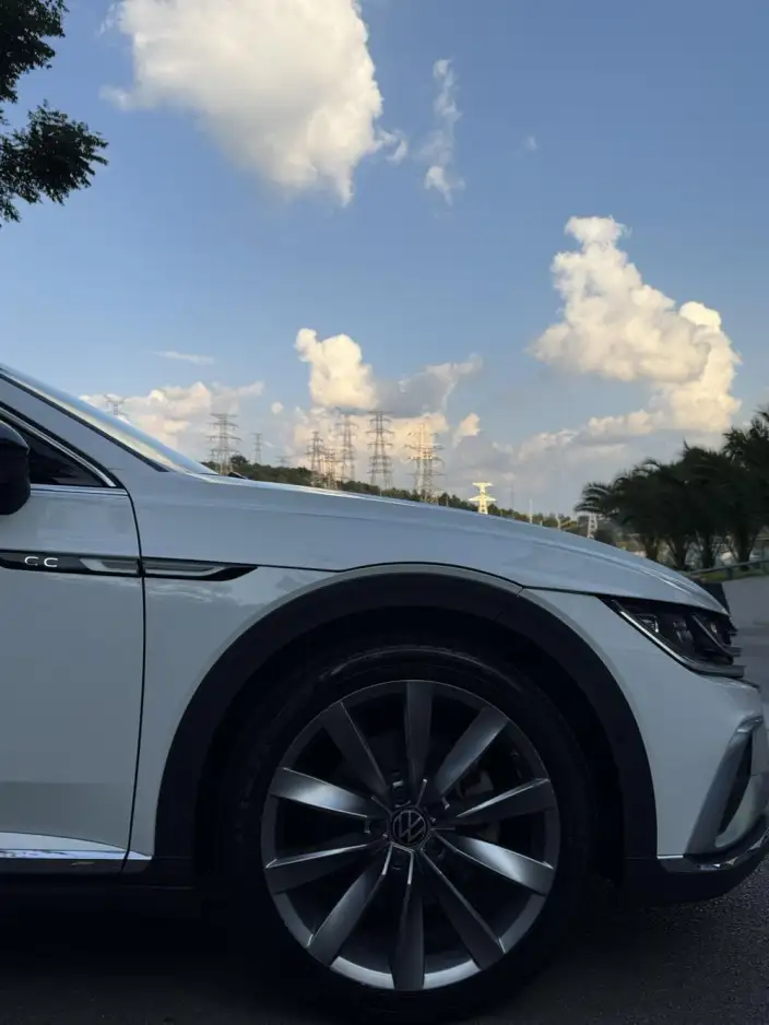 Volkswagen CC 2021 Model Hunting vehicle 380TSI Hunting Heart Edition – фото 10