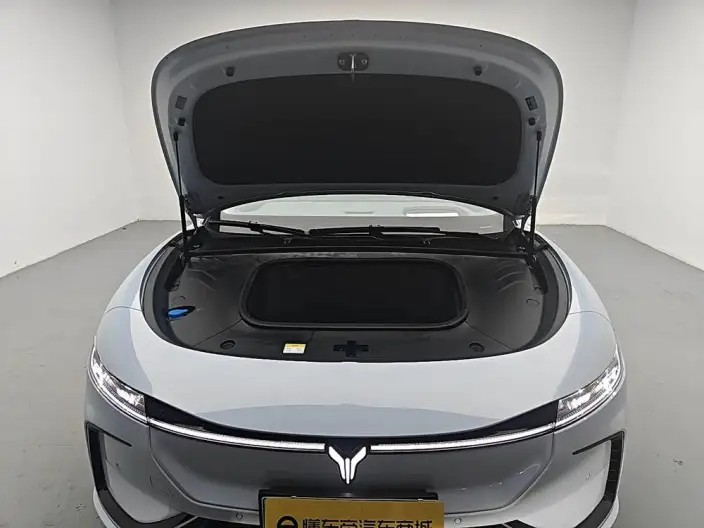 Voyah Pursuit EV 2023 Model 580km Standard Edition – фото 10
