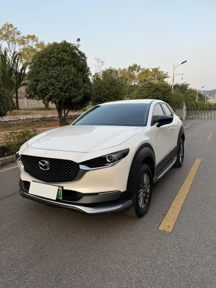 Mazda CX-30 EV 2021 Model EV Yuxiang Edition