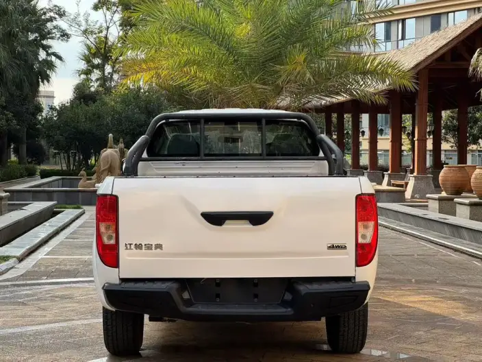 Baodian 2023 Model 2.5T Manual Diesel 4WD Exclusive Edition Long axis – фото 5