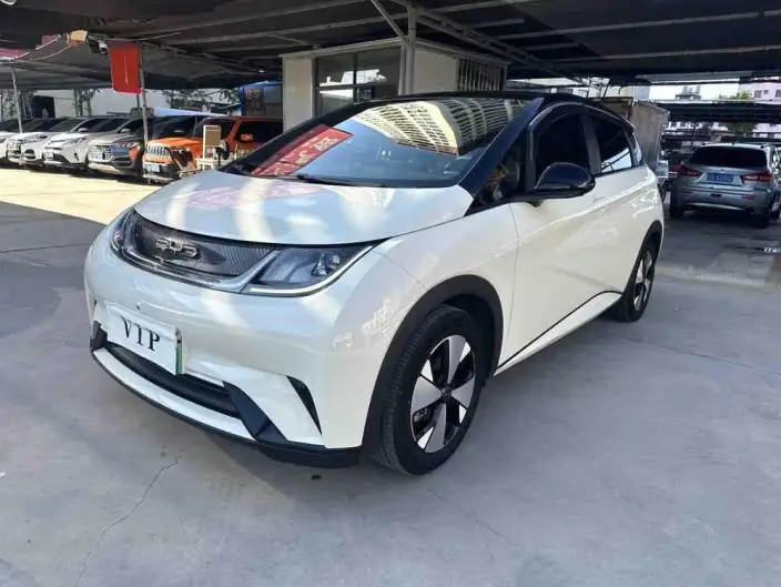 BYD Dolphin 2023 Model Fashion Edition – фото 1