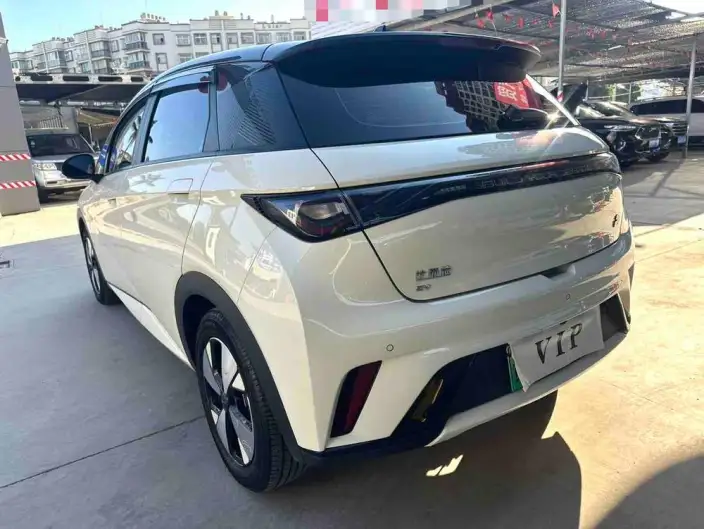 BYD Dolphin 2023 Model Fashion Edition – фото 3