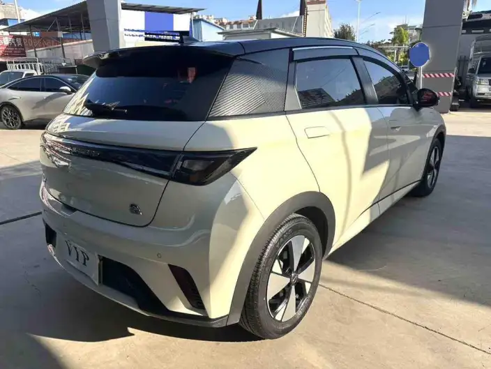 BYD Dolphin 2023 Model Fashion Edition – фото 6