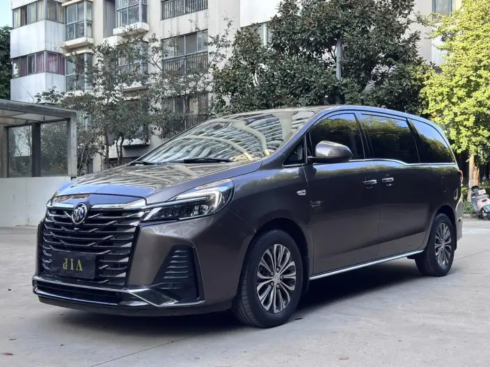 Buick GL8 2023 Model Business class 2.0T Luxury Model