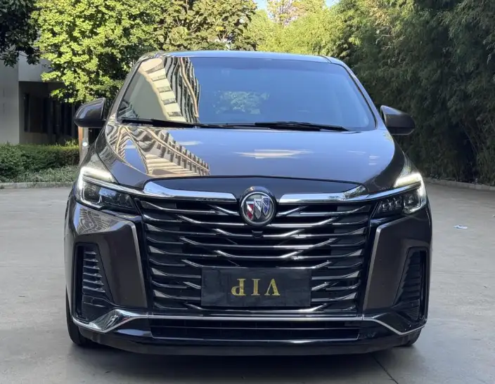 Buick GL8 2023 Model Business class 2.0T Luxury Model
