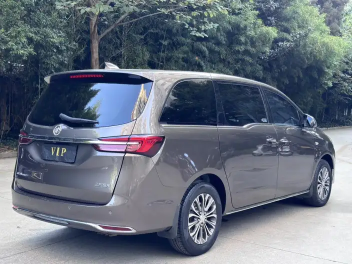 Buick GL8 2023 Model Business class 2.0T Luxury Model – фото 6