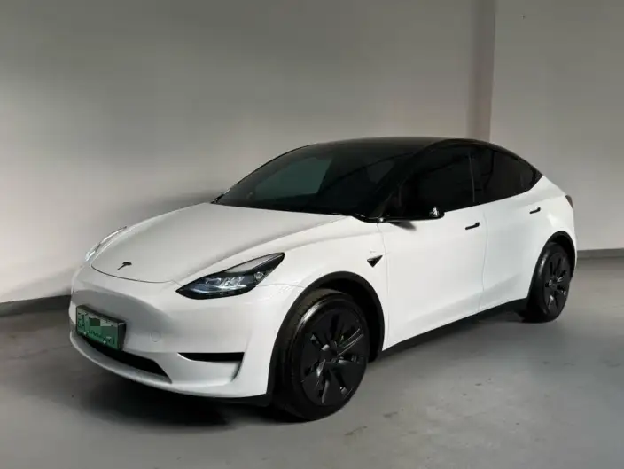 Model Y 2022 Model Facelift Rear-wheel drive version